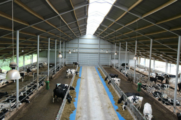 Grants for Small Dairy Farms in England