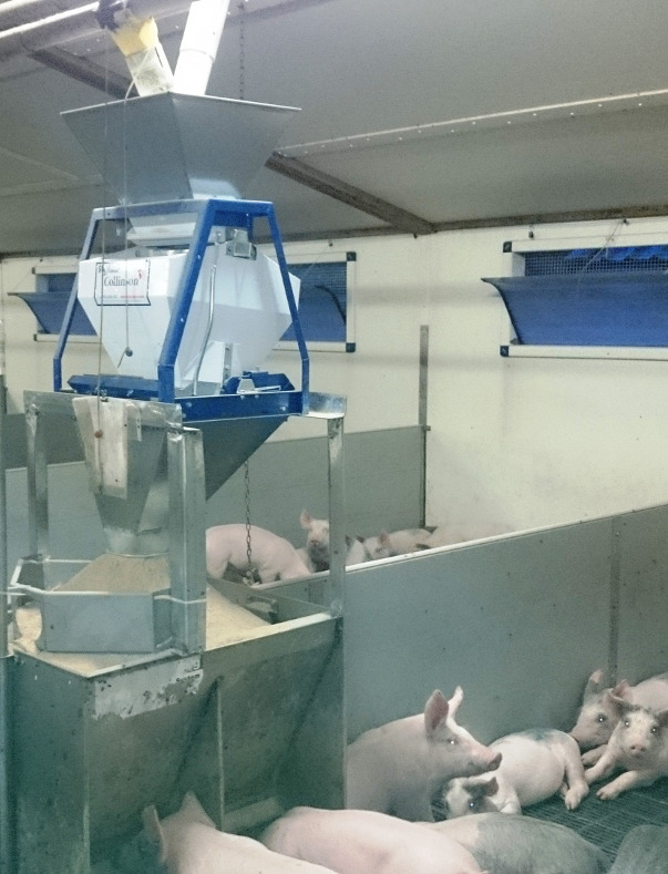 Trial Batch Weigher