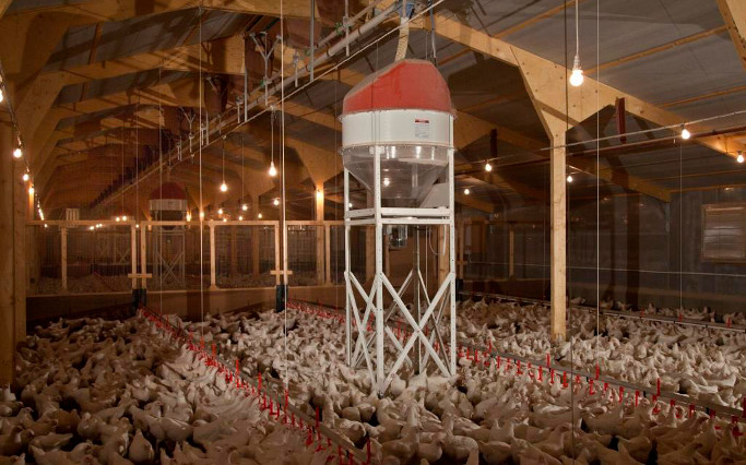 Spinfeeding Worldwide